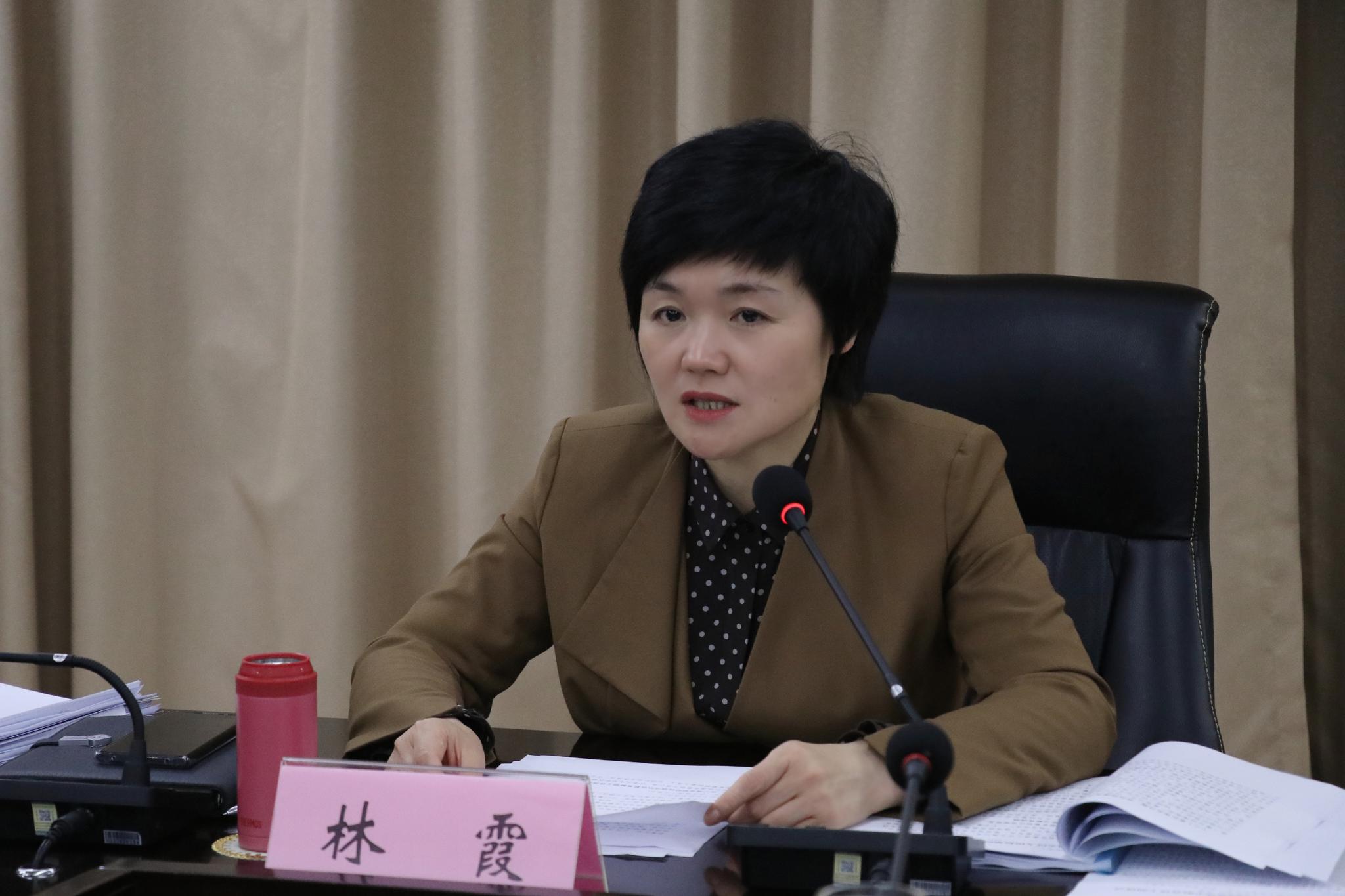 一把手说洞头区委书记林霞努力以政法队伍的新面貌党和人民满意的新