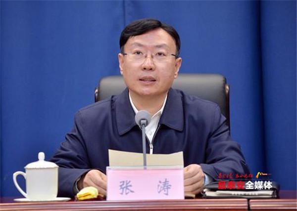 泰安市政法队伍教育整顿工作推进会召开