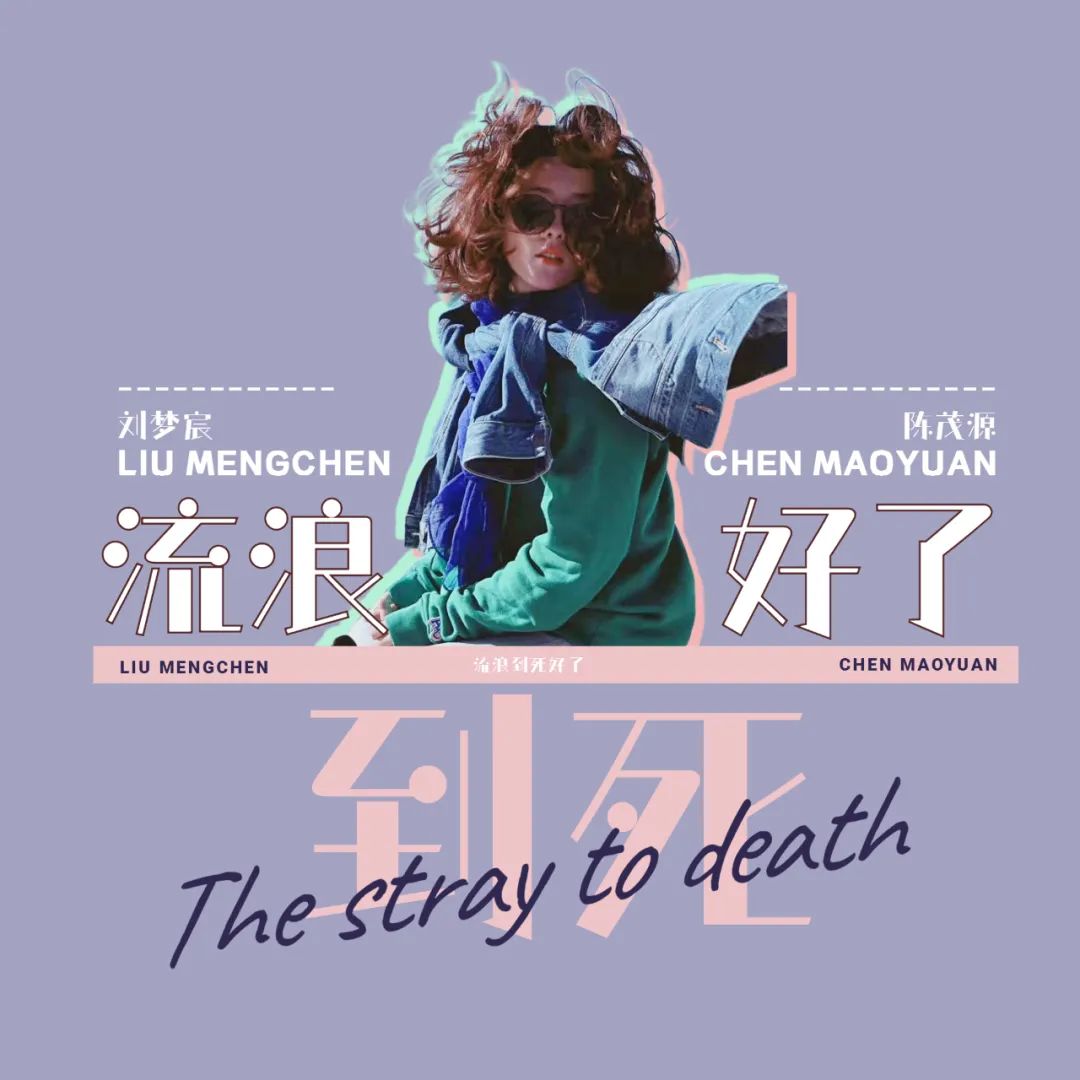 风吹流浪视频下载网站_风吹浪什么歌