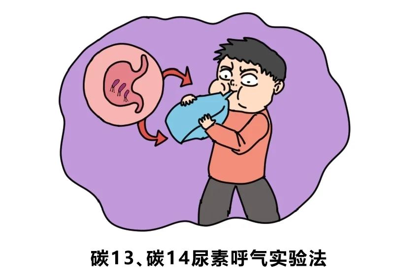 幽门螺旋杆菌究竟是个什么鬼内含龚医生0元宠粉大福利点击申领吧