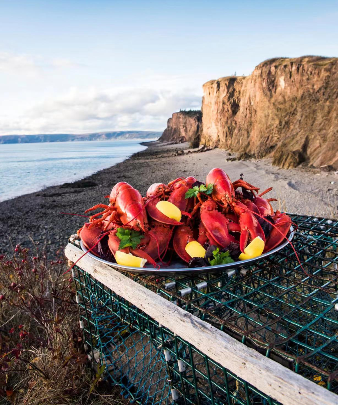开"吃"啦 | 加拿大新斯科舍省旅游局同业龙虾烹饪课喊你来