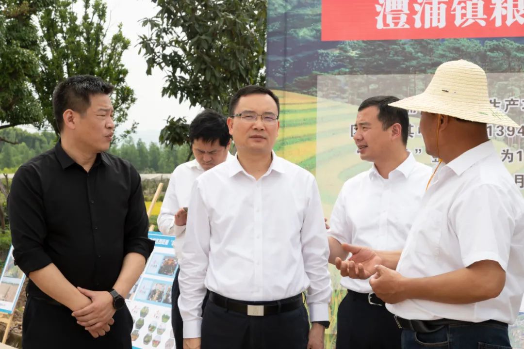 5月7日,金华金义新区管委会主任,区委书记李雄伟率队调研"消薄""非粮