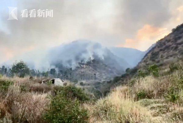 无人员伤亡云南大理森林火灾明火已全部扑灭