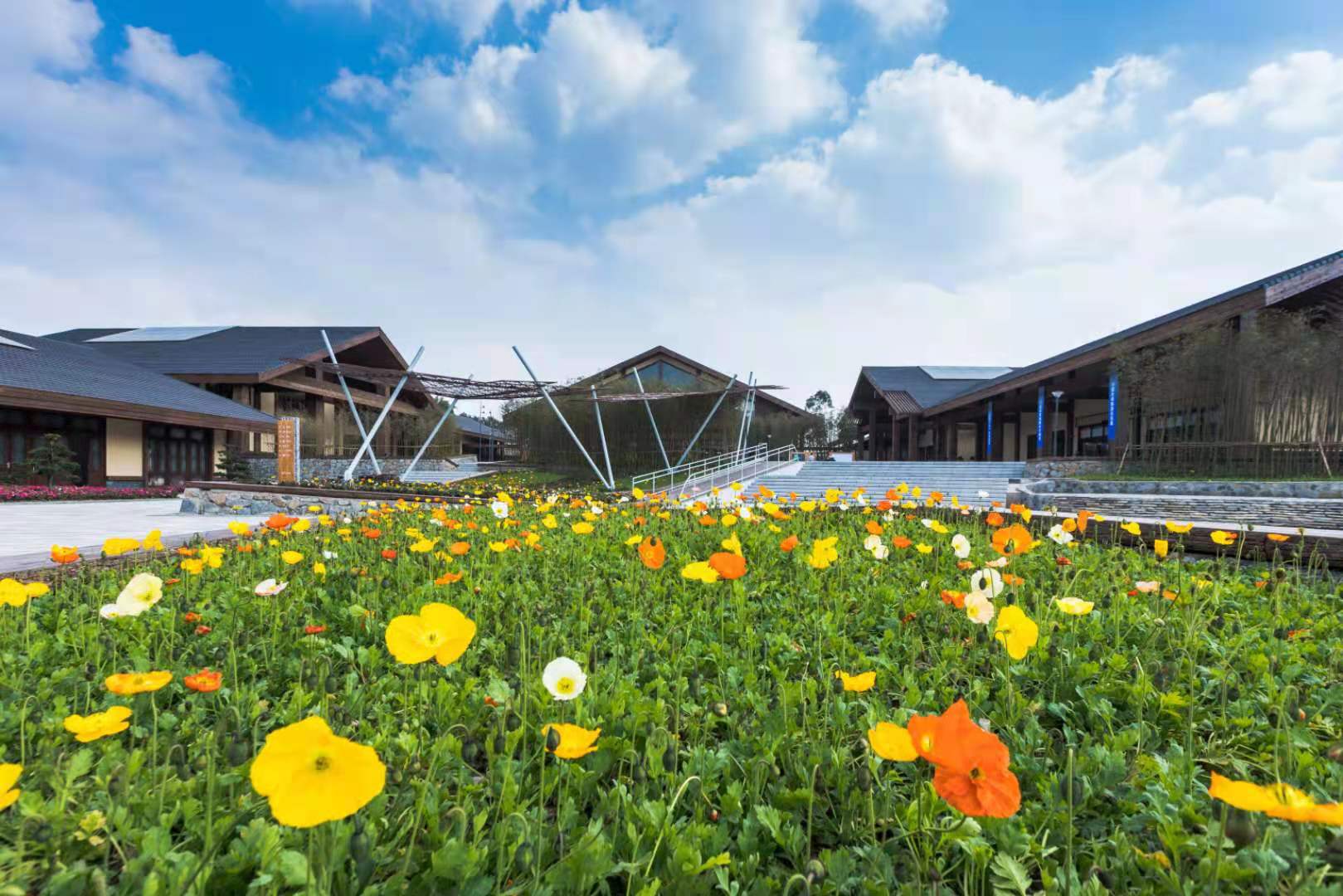 以文旅做好乡村振兴大文章华侨城旗下美丽乡村双旗美村正式开园