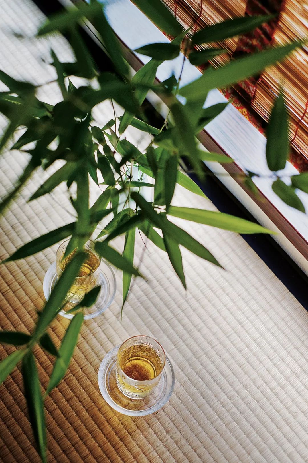 用生活化语言传播茶文化