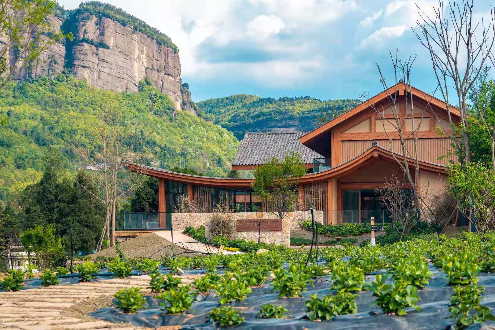 文旅活动有哪些 文旅项目具体有哪些