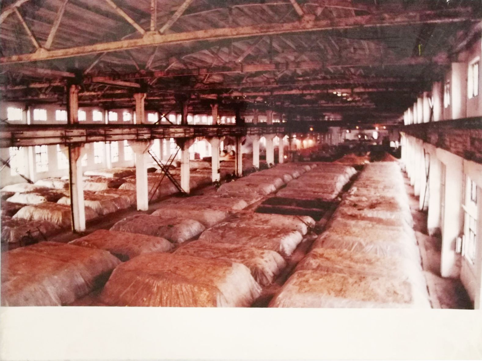 身边的国货丨四特酒不可复制的特香型白酒代表