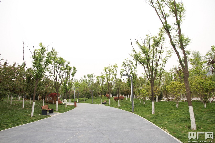 位于城南少陵塬的航天基地塬边绿带(央广网记者 舒隆焕 摄)