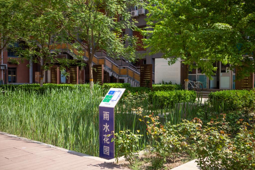 图为北京交通大学的"雨水花园" 图片来源:北京交通大学