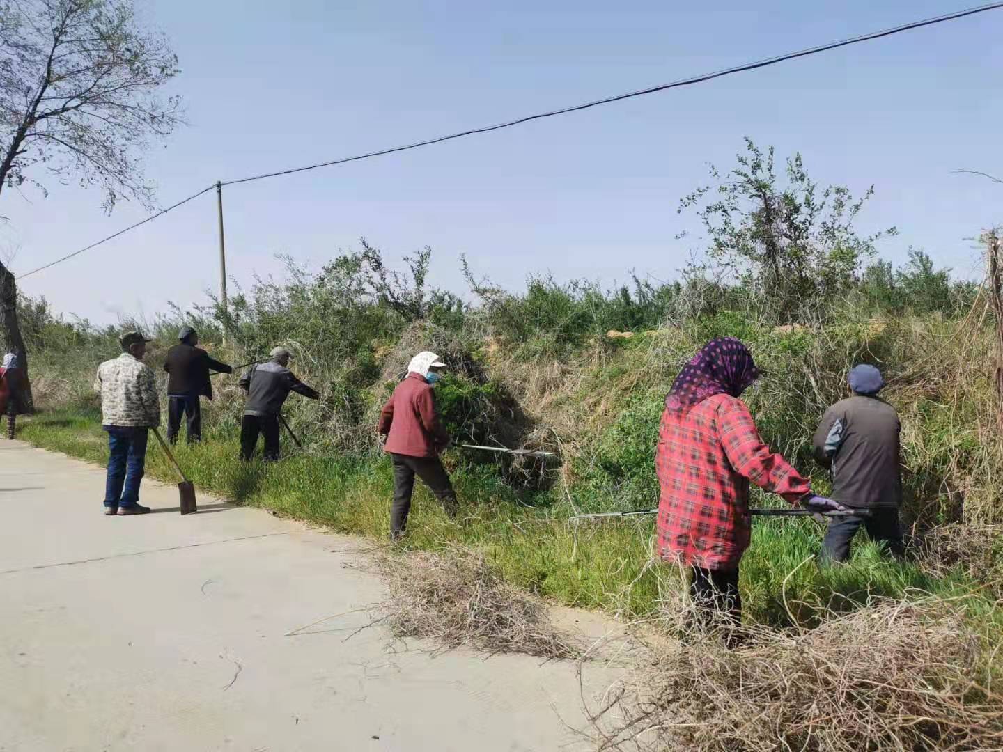 农村环境卫生整治 新浪网