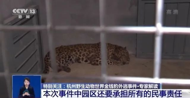 天津驾照将有这个变化休闲区蓝鸢梦想 - Www.slyday.coM