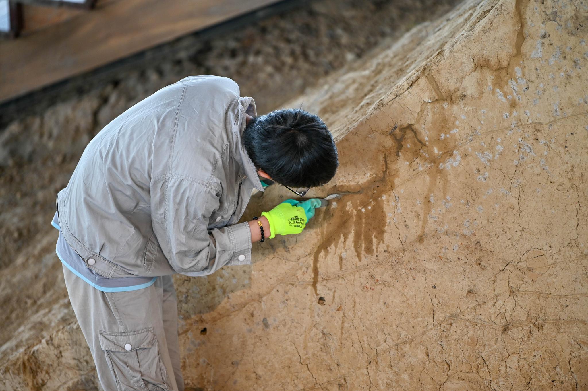 婚姻没有爱情怎么办？