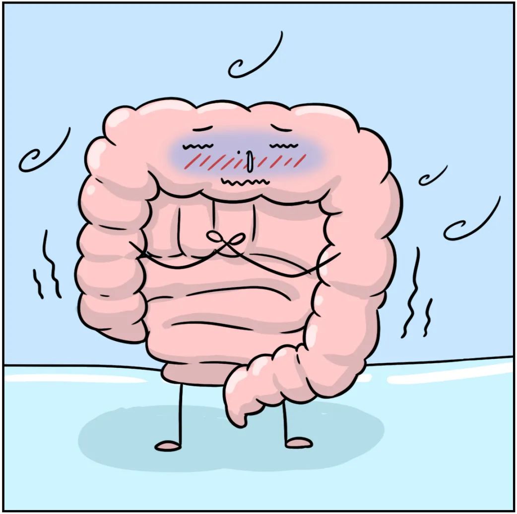 便秘腹泻胀气腹痛这些肠道信号千万别忽视