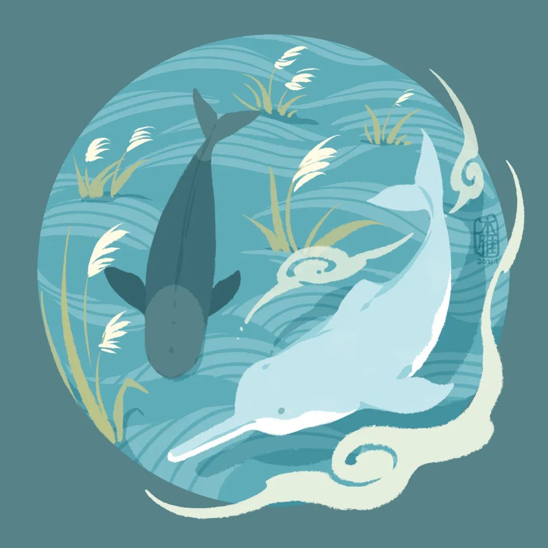 迁地到海洋馆圈养繁殖真的能保护江豚