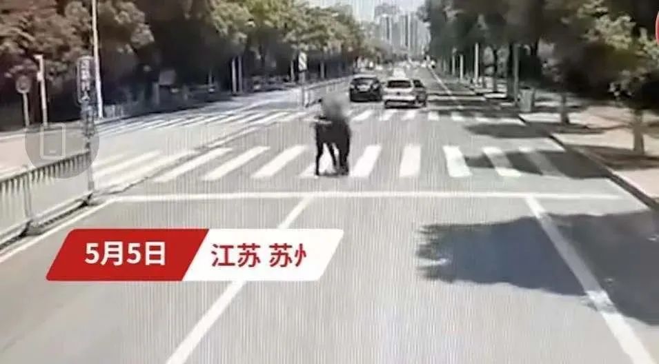 天津驾照将有这个变化休闲区蓝鸢梦想 - Www.slyday.coM