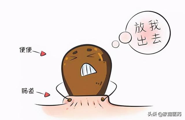 粪便变成光滑而坚硬的钙化物时称为粪石,粪石可压迫肠黏膜造成溃疡