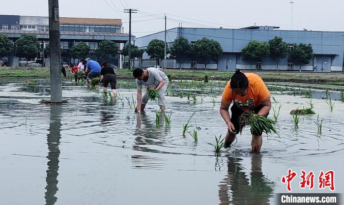 四川：水利工程蓄水量达78亿立方米 能满足春灌用水需求