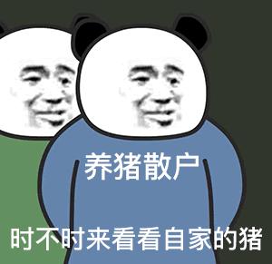 互联网靠边站,我养猪赚了 800 万