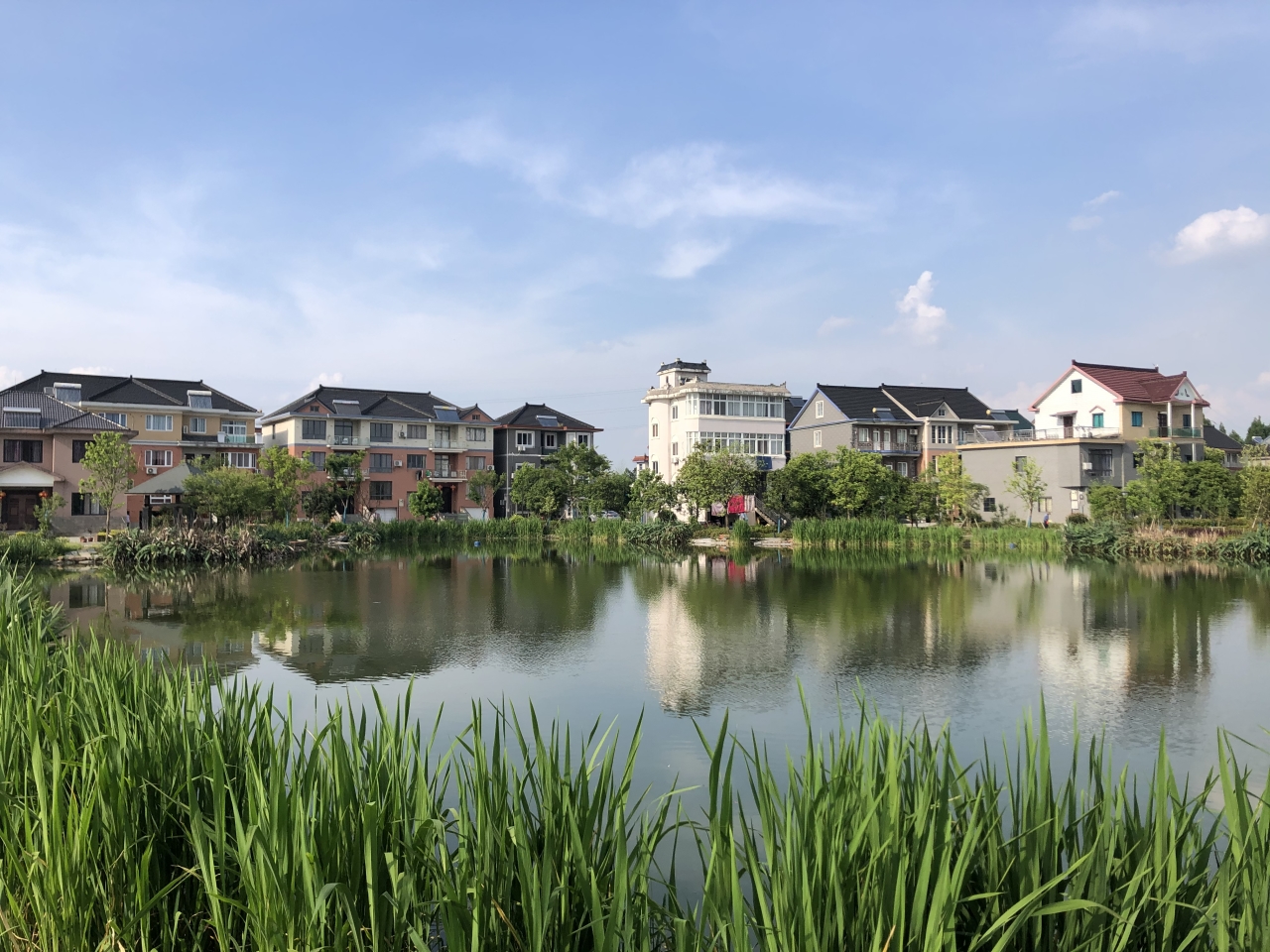 学党史忆村史双浦镇外张村党史学习教育助力建设活力水乡