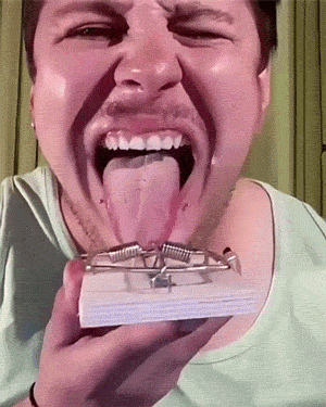 用舌头试探老鼠夹会发生什么?06狗子:看我面子算了!