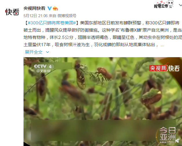 已蛰伏17年！300亿只蝉将席卷美国休闲区蓝鸢梦想 - Www.slyday.coM