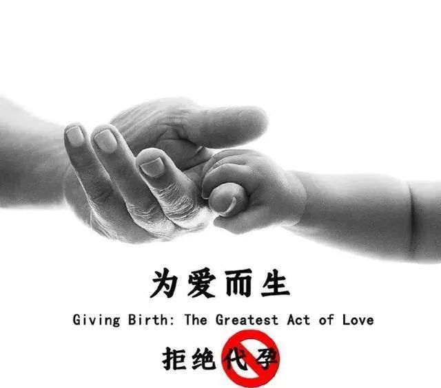 张恒称获得孩子抚养独立决定权，还"向祖国致歉"休闲区蓝鸢梦想 - Www.slyday.coM