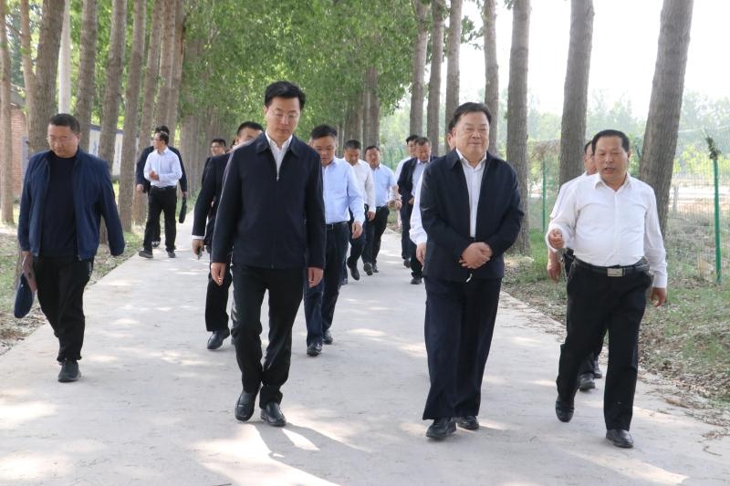 陈秀兴到莘县调研林长制工作