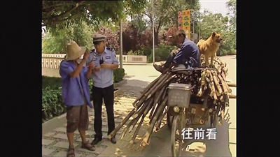 十年前的节目中,“福贵”告诉谭乔自己的故事,并说了一句“往前看”。图/谭乔微博