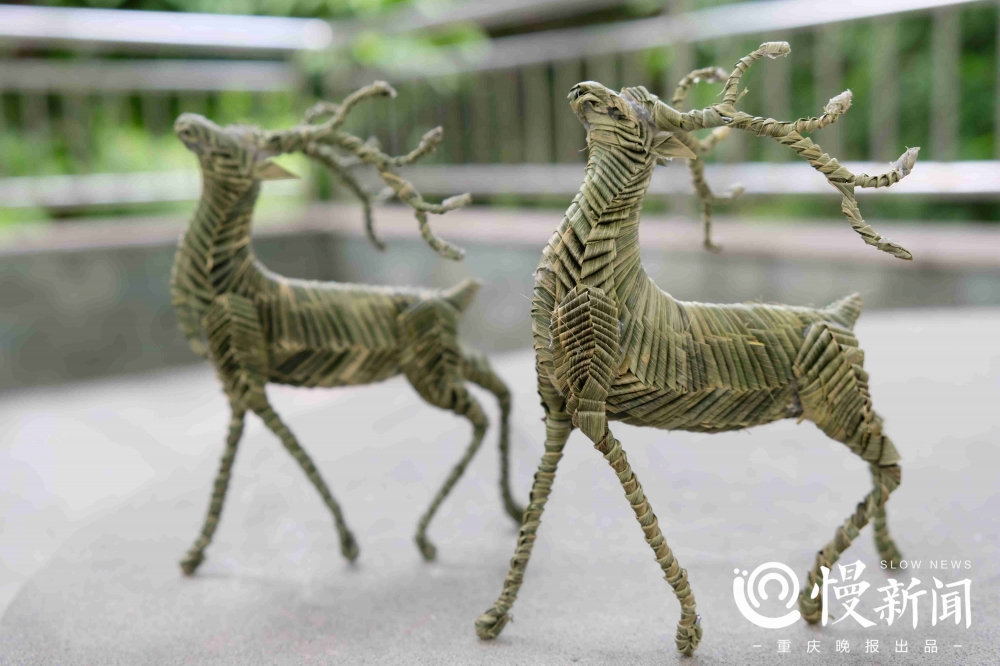 慢新闻丨一叶载匠心看棕编非遗传承人巧手变出动物世界