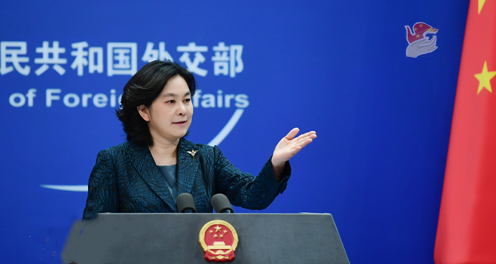 华春莹(图源:外交部网站)