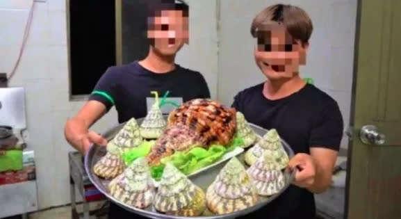 不能吃 食用国家二级保护动物 法螺 美食博主被刑拘 琼海市 新浪新闻