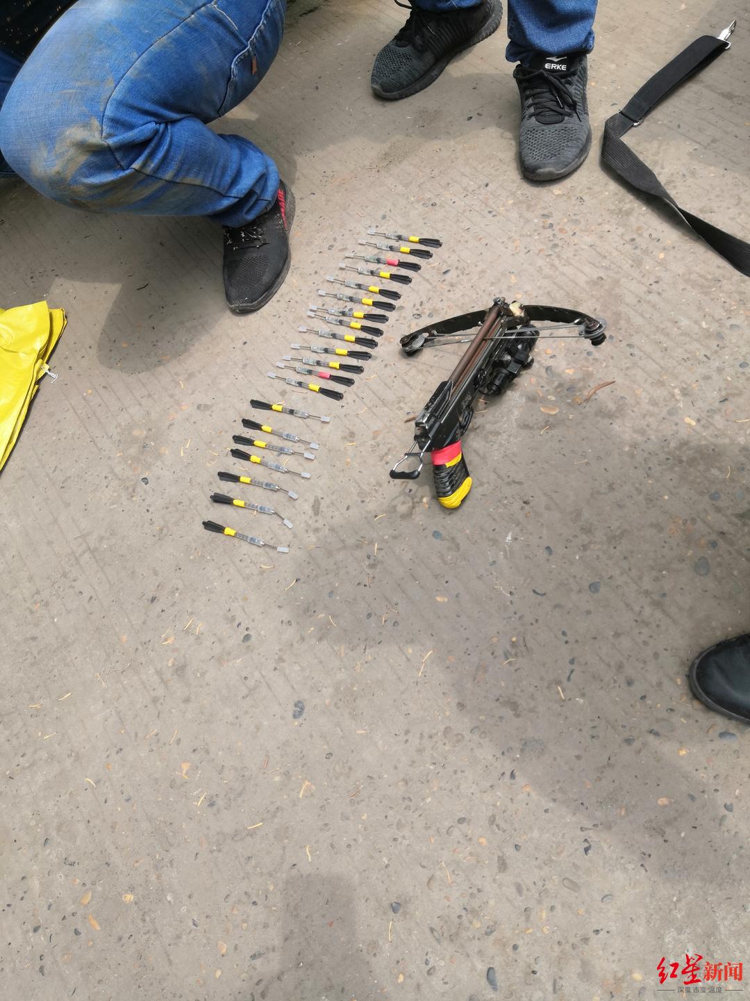 偷狗杀狗售卖一条龙四川岳池警方打掉一个针对狗狗的犯罪团伙