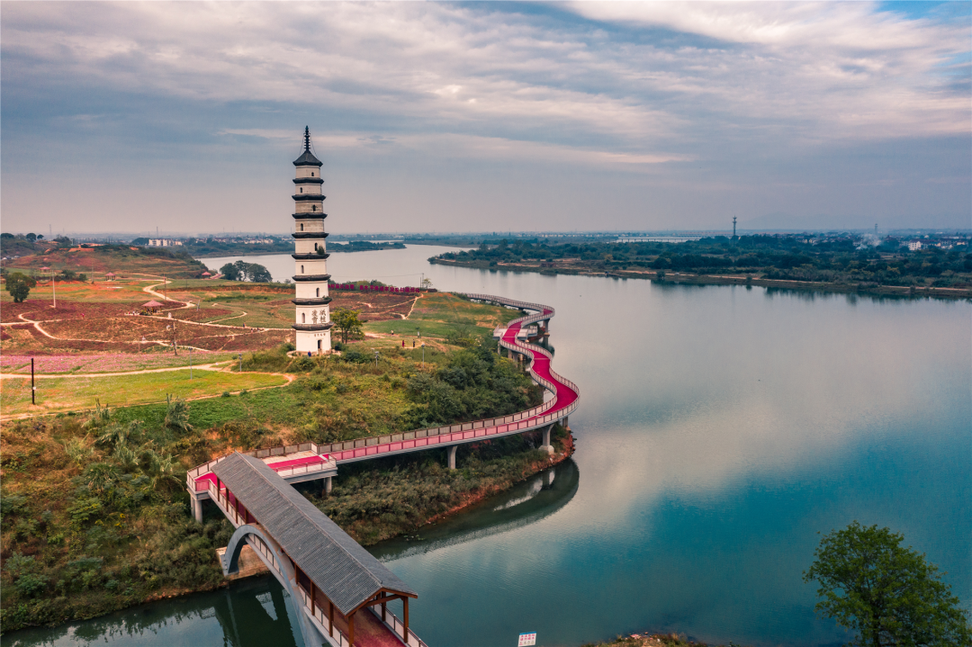 衢江区3项工作荣获省政府督查激励