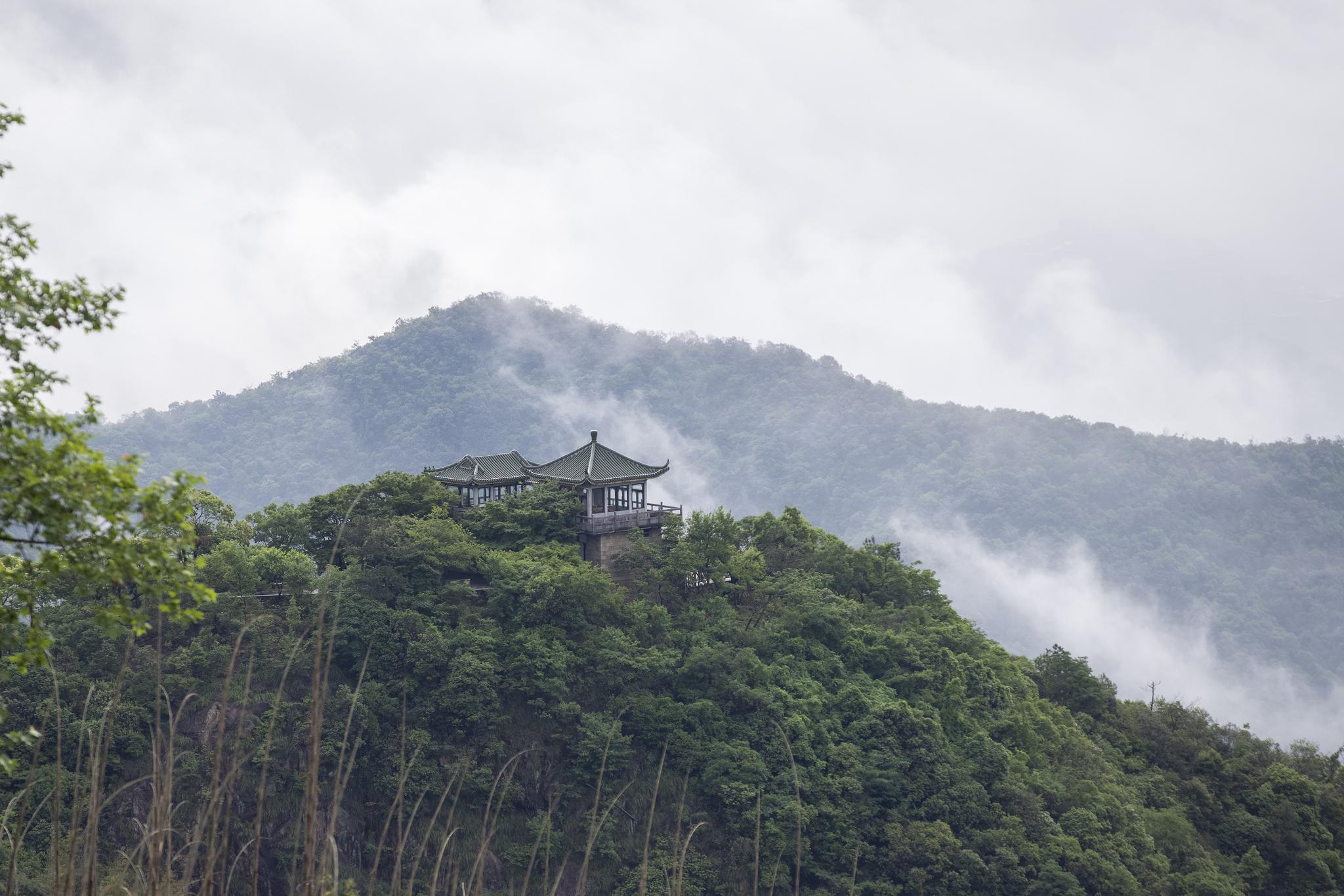 德清:莫干山云海美如画|云海_新浪新闻