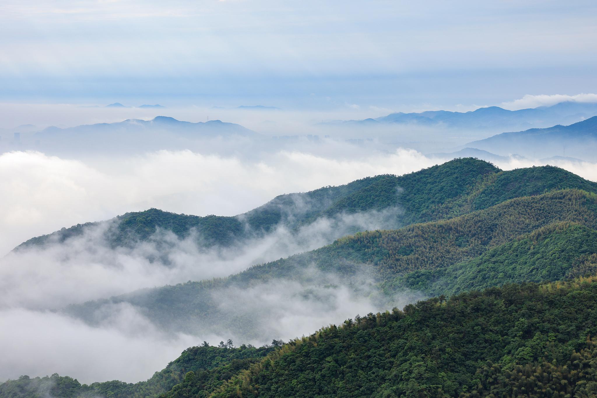 德清:莫干山云海美如画|云海_新浪新闻