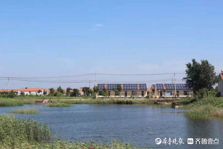 坚持生态优先绿色发展无棣县碣石山镇铺就乡村振兴新画卷