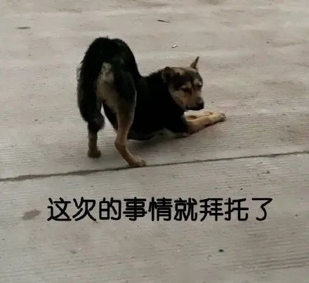 历史的车轮怎么碾上你的脸