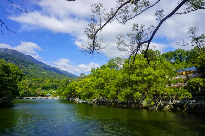 惠州文脈創想昔日荒山禿嶺今朝林海蒼莽