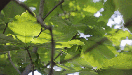 452_256gif 动态图 动图