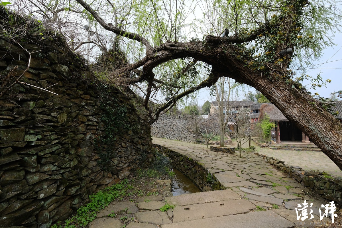 许家山“石头村”。