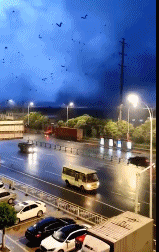 昨日（14日）江苏苏州出现龙卷风 。图片来源：澎湃新闻