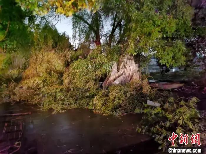 武汉苏州突发龙卷风！共致7人遇难200多人受伤休闲区蓝鸢梦想 - Www.slyday.coM