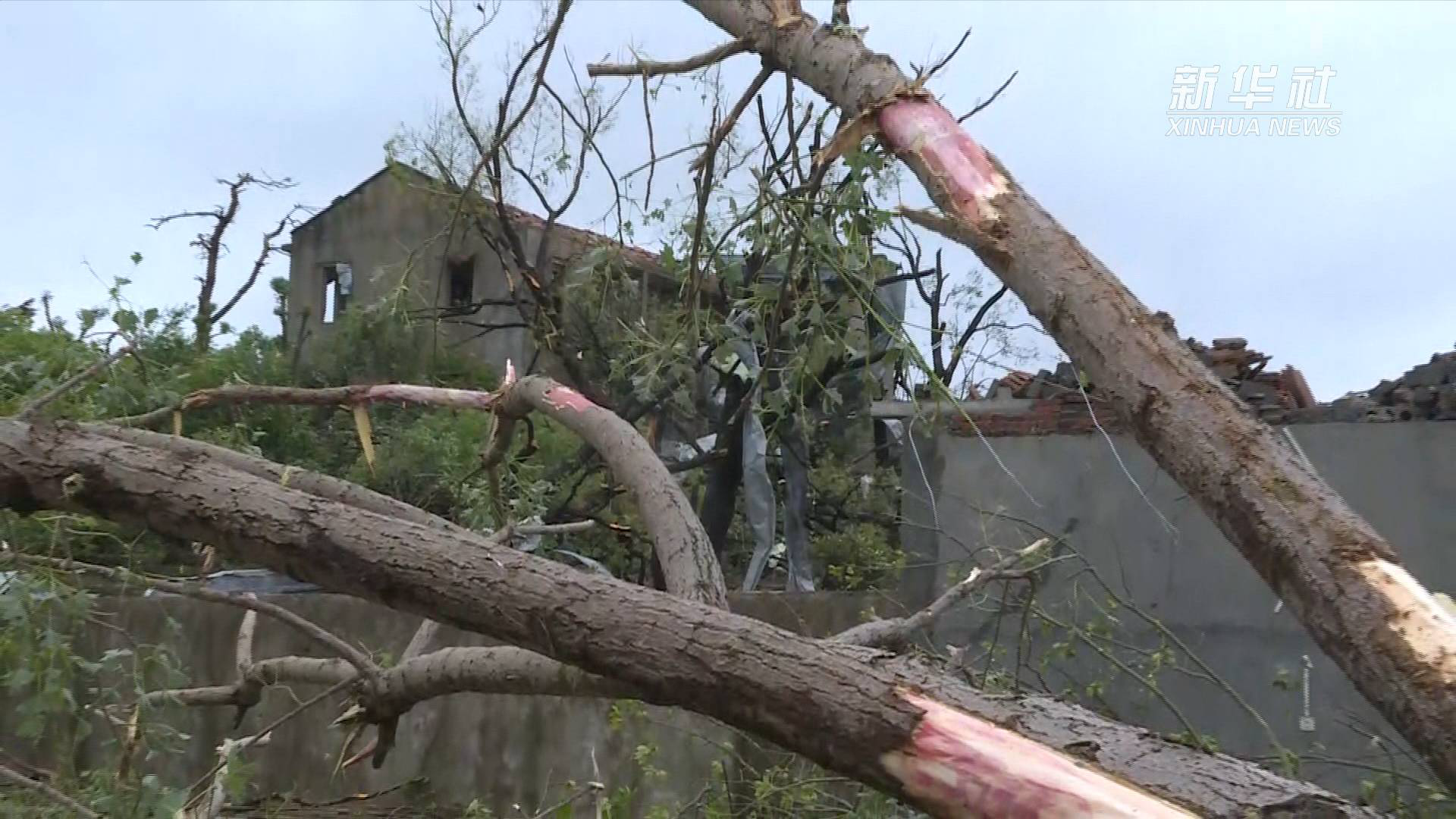新华全媒 |武汉市蔡甸区龙卷风灾后救援正在进行