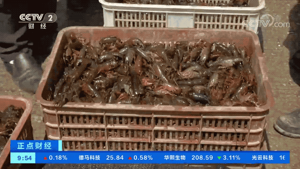 温州陈忠水产_温州市渔业专家 温州陈忠水产_温州市渔业专家（温州 陈忠） 水产