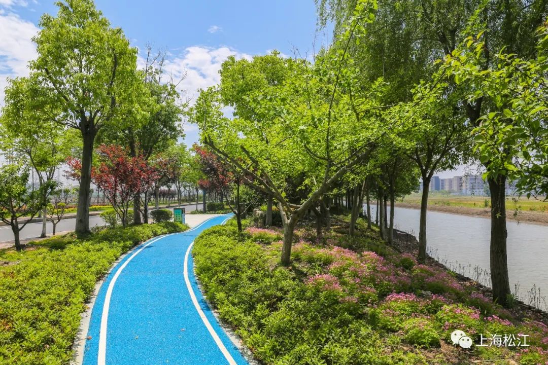 为园区企业员工和附近居民提供了一处适合游憩,锻炼的绿色空间