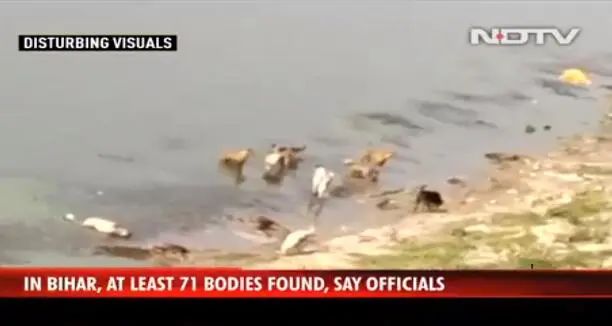 恒河发现浮尸后，印度又有近500具尸体，这次在沙滩上......休闲区蓝鸢梦想 - Www.slyday.coM