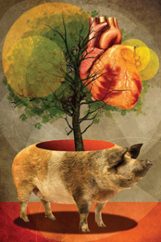 科学大家 | 人-猴嵌合体:培育人类器官又向前跨越一小步|干细胞_新浪