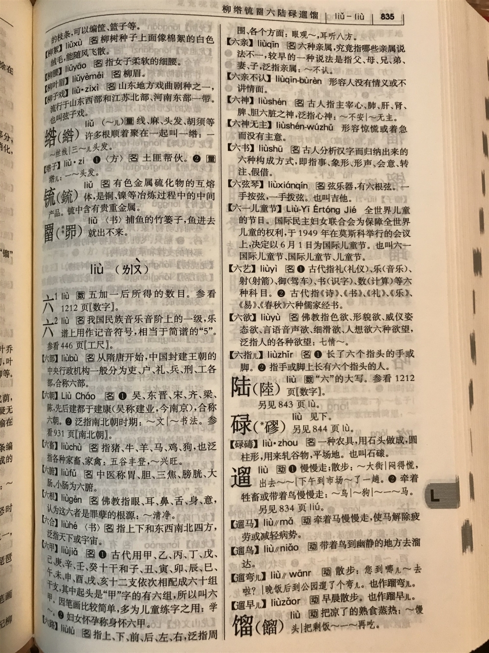 网友和央视新闻主播较真 安徽六安的“六”到底该怎么读？休闲区蓝鸢梦想 - Www.slyday.coM