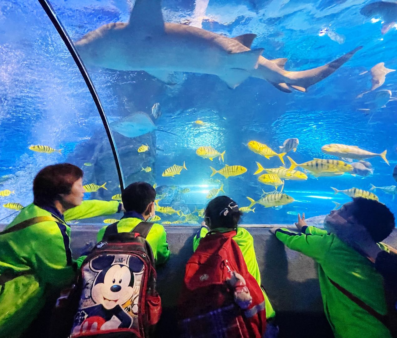 太平洋海底世界温暖关爱困境儿童|北京市_新浪新闻