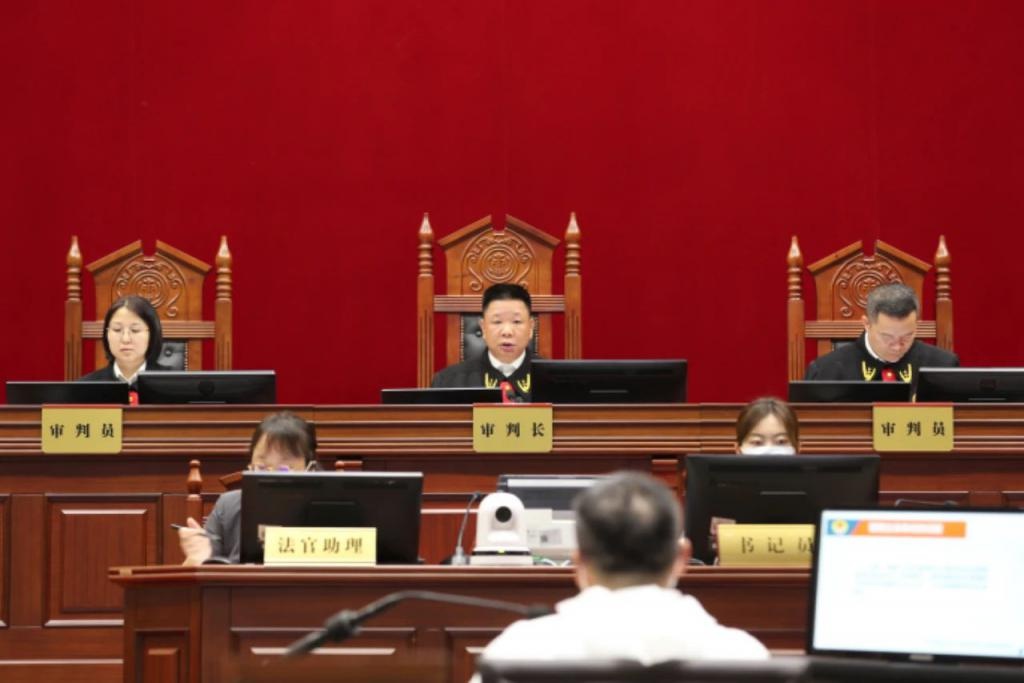 防城港市人大常委会原副主任廖汝奋受贿一案开庭审理|防城港市|人大